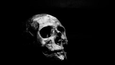 neeraj pepsu death date